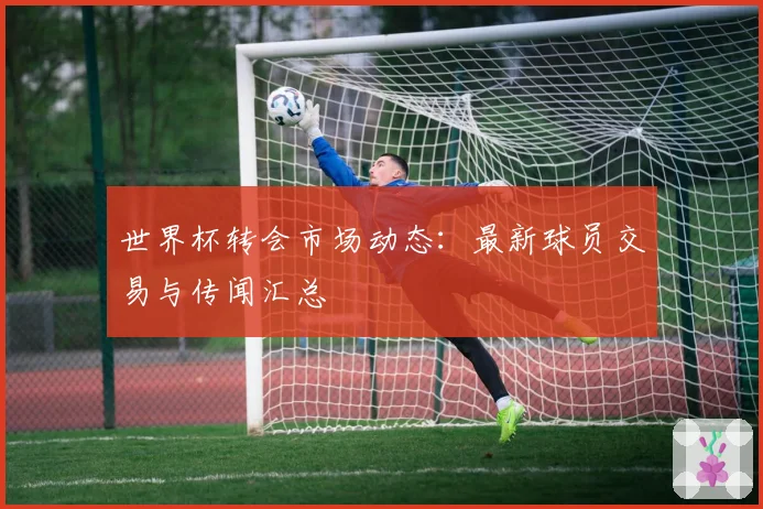 世界杯转会市场动态：最新球员交易与传闻汇总