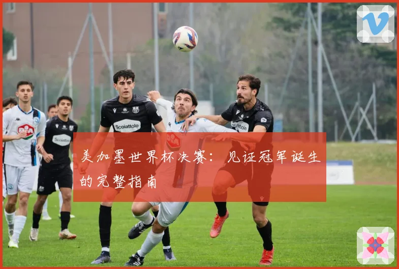 美加墨世界杯决赛：见证冠军诞生的完整指南