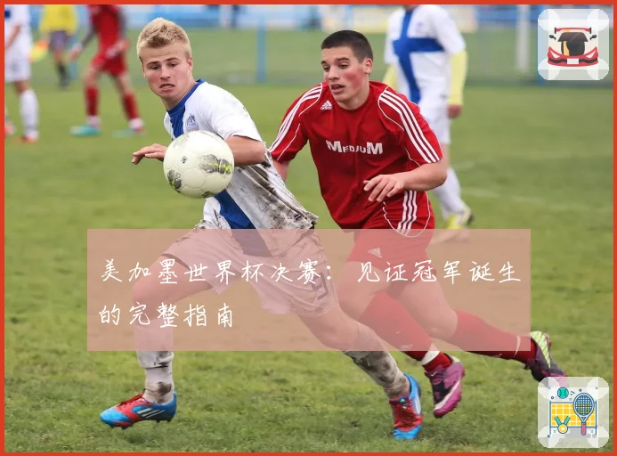 美加墨世界杯决赛:见证冠军诞生的完整指南